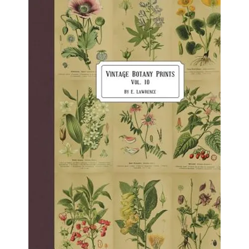 Vintage Botany Prints: Vol. 10 - Paperback