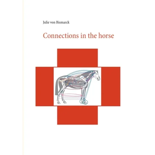 Connections in the horse - Paperback