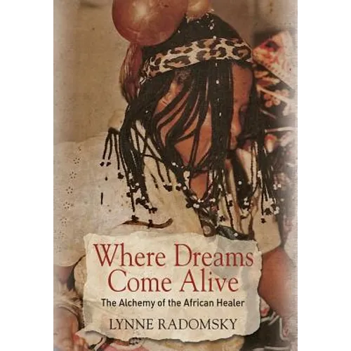 Where Dreams Come Alive: The Alchemy of the African Healer - Hardcover