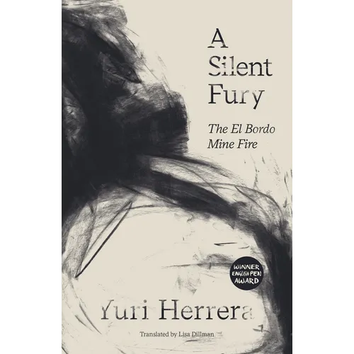A Silent Fury: The El Bordo Mine Fire - Paperback