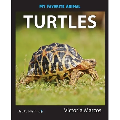 My Favorite Animal: Turtles - Paperback