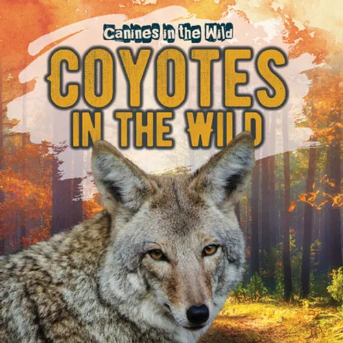 Coyotes in the Wild - Library Binding