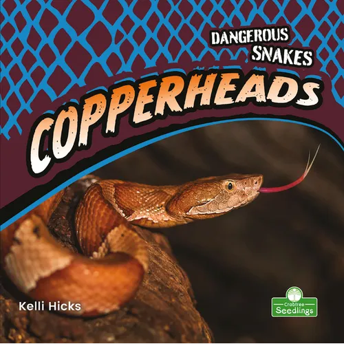 Copperheads - Paperback