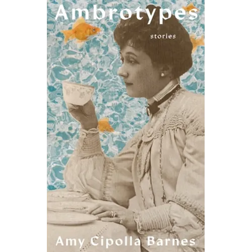 Ambrotypes - Paperback