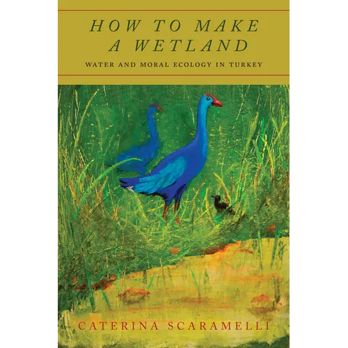 How to Make a Wetland: Water and Moral Ecology in Turkey - Hardcover