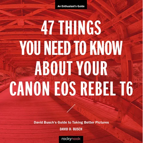 47 Things You Need to Know about Your Canon EOS Rebel T6: David Busch's Guide to Taking Better Pictures - Paperback
