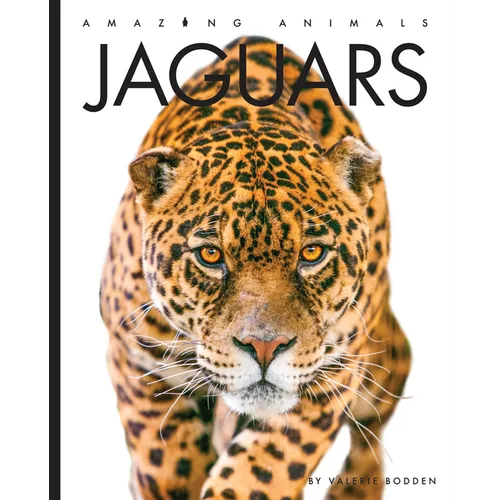 Jaguars - Paperback
