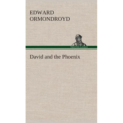 David and the Phoenix - Hardcover