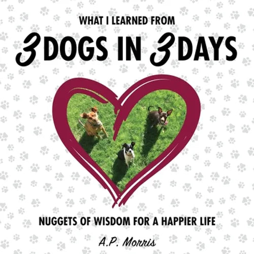 What I Learned from 3 Dogs in 3 Days: Nuggets of Wisdom for a Happier Life - Paperback