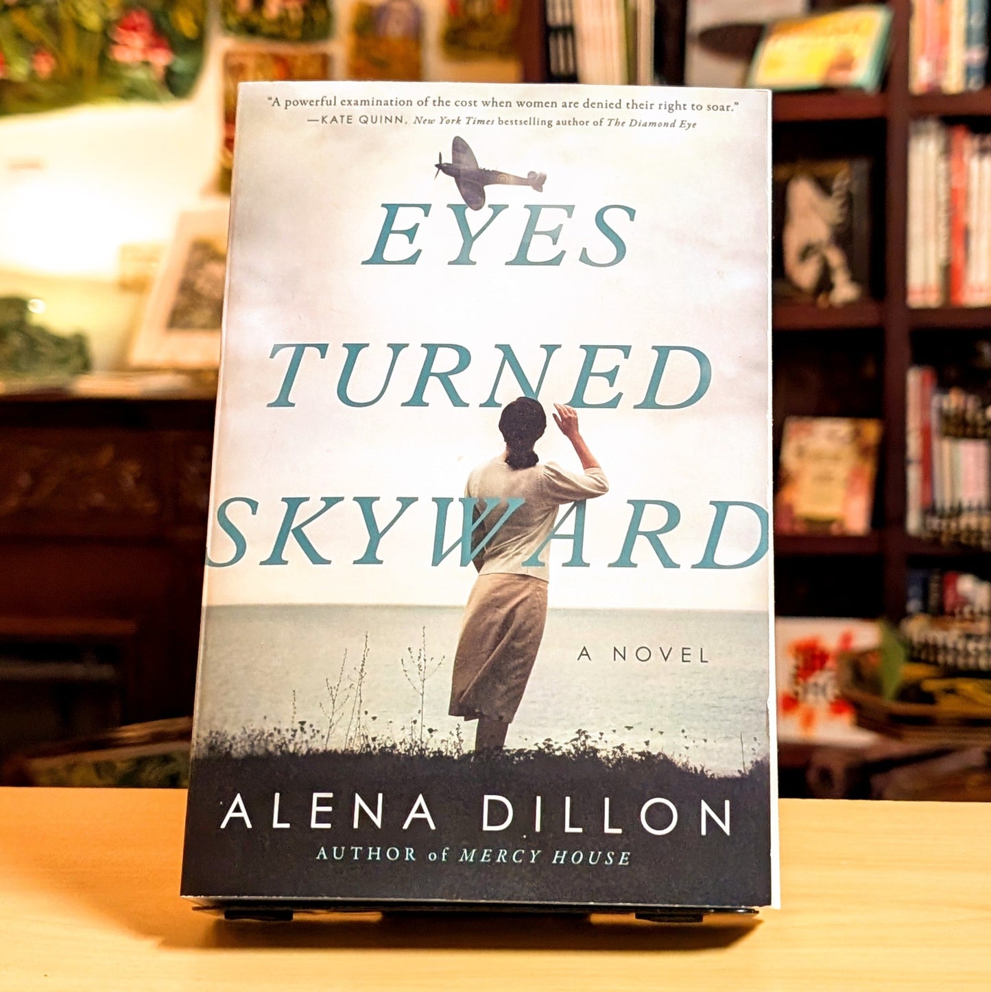 Eyes Turned Skyward: A Novel