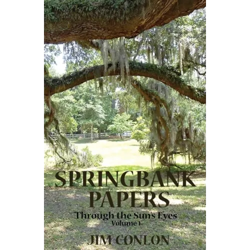 Springbank Papers: Through the Sun's Eyes - Paperback