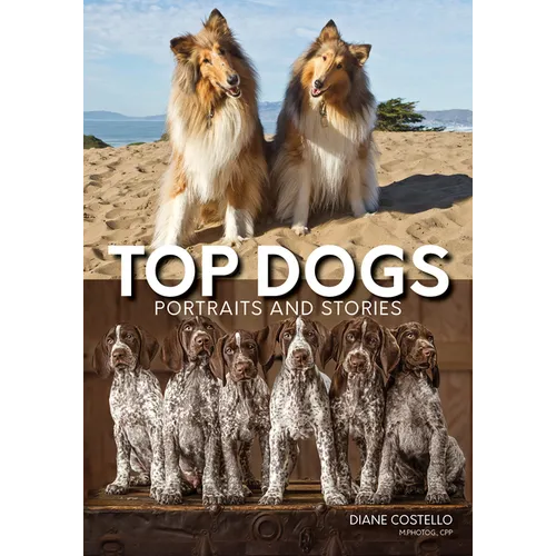 Top Dogs: Portraits and Stories - Paperback