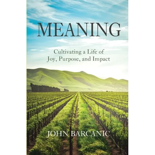 Meaning: Cultivating a Life of Joy, Purpose, and Impact - Paperback