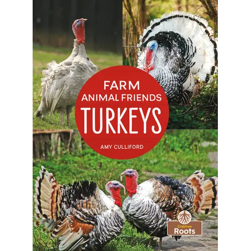 Turkeys - Paperback
