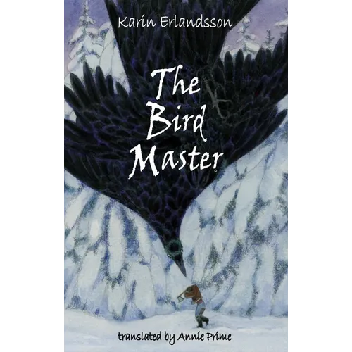 The Bird Master: Song of the Eye Stone Book 2 - Paperback