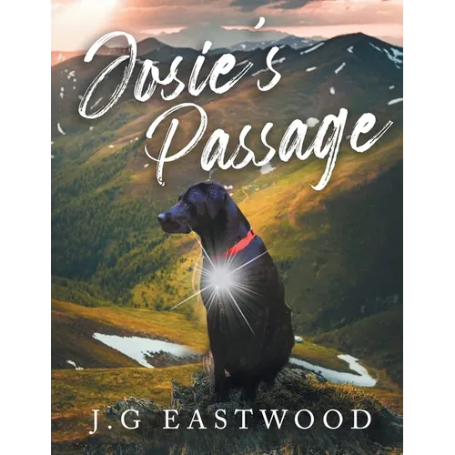 Josie's Passage - Paperback