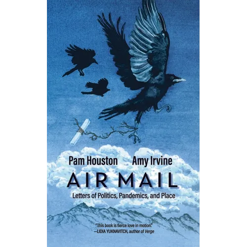 Air Mail: Letters of Politics, Pandemics, and Place - Paperback