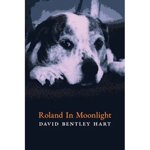 Roland in Moonlight - Paperback
