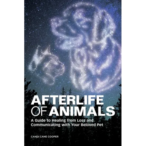 Afterlife of Animals: A Guide to Healing from Loss and Communicating with Your Beloved Pet - Paperback