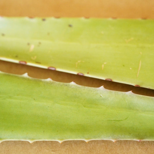 Fresh Aloe Detox Soap