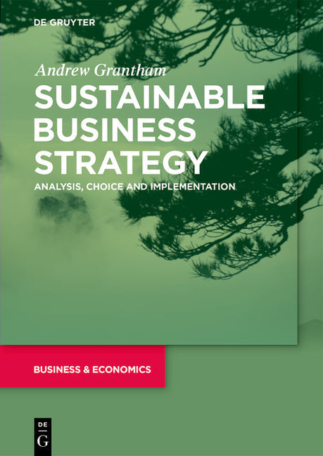 Sustainable Business Strategy: Analysis, Choice and Implementation - Paperback