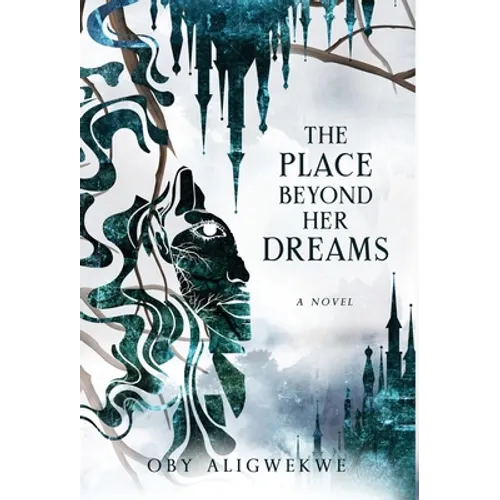 The Place Beyond Her Dreams - Hardcover