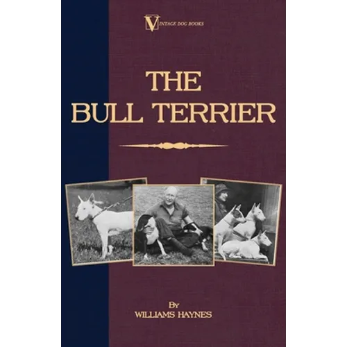 The Bull Terrier - Paperback