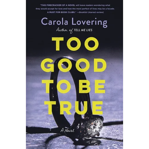 Too Good to Be True - Paperback