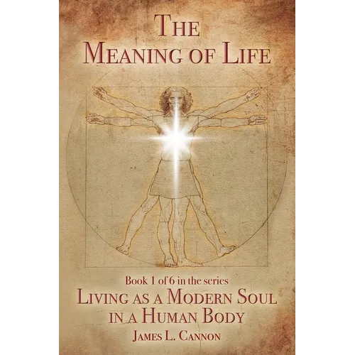 The Meaning of Life: Purpose and Mission of the Human Soul - Paperback