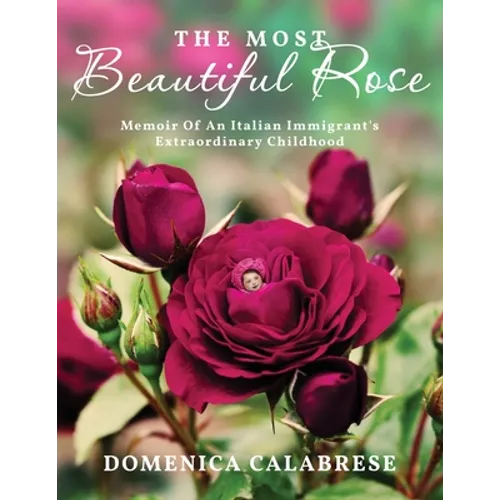 The Most Beautiful Rose: Memoir Of An Italian Immigrant's Extraordinary Childhood - Paperback