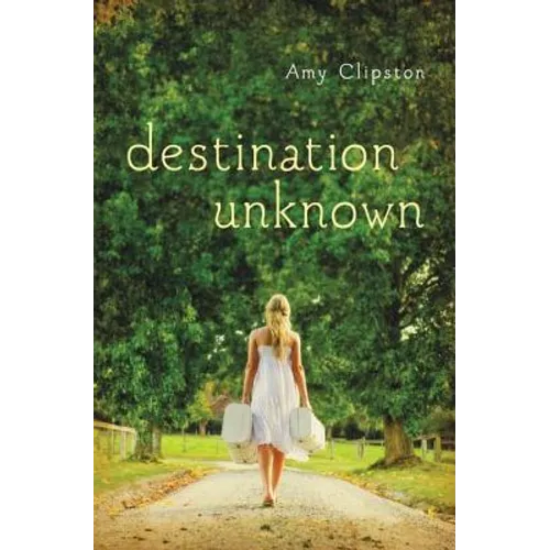 The Destination Unknown - Paperback
