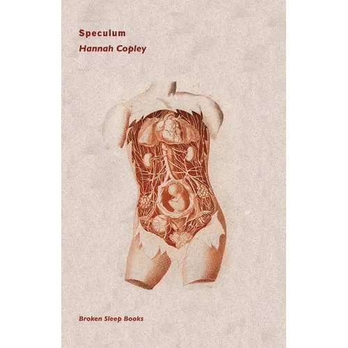 Speculum - Paperback