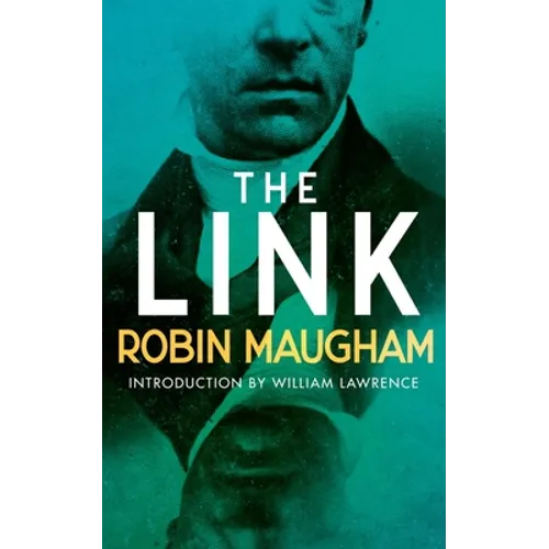 The Link: A Victorian Mystery - Paperback
