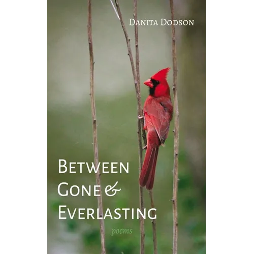 Between Gone and Everlasting - Paperback