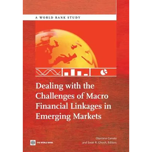 Dealing with the Challenges of Macro Financial Linkages in Emerging Markets - Paperback