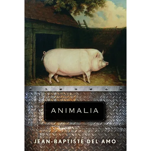 Animalia - Paperback