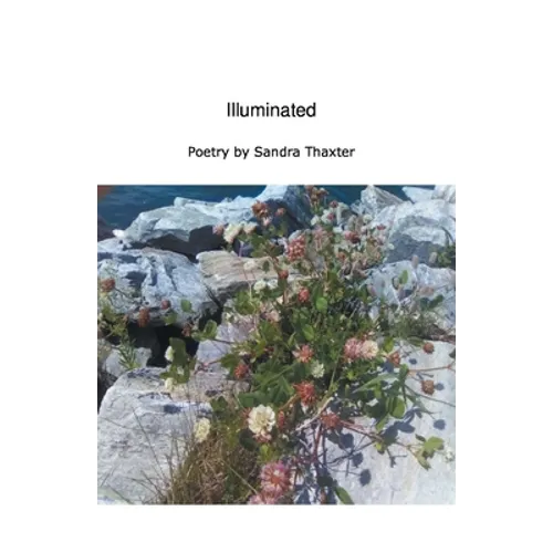 Illuminated - Paperback