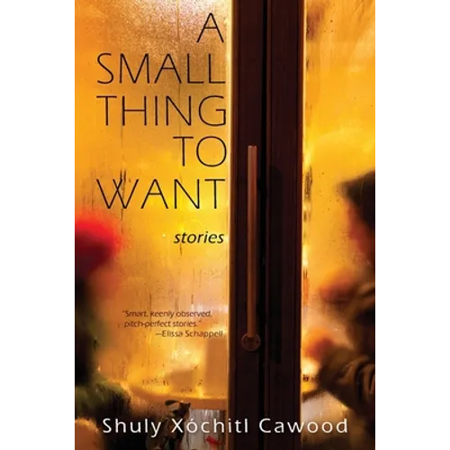 A Small Thing to Want - Paperback