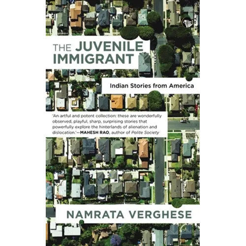 The Juvenile Immigrant: Indian Stories from America - Paperback