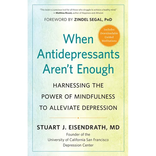 When Antidepressants Aren't Enough: Harnessing the Power of Mindfulness to Alleviate Depression - Paperback