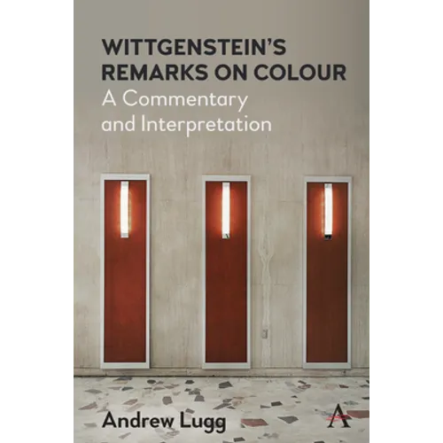 Wittgenstein's Remarks on Colour: A Commentary and Interpretation - Paperback