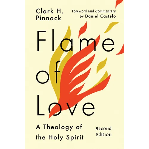 Flame of Love: Three Views on the Destiny of the Unevangelized - Paperback