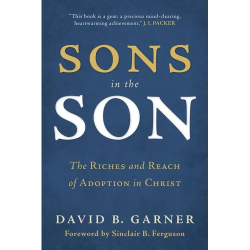 Sons in the Son: The Riches and Reach of Adoption in Christ - Paperback