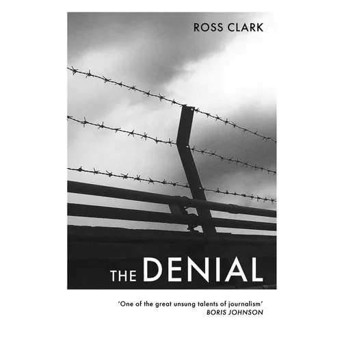 The Denial: A satirical novel of climate change - Paperback
