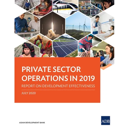 Private Sector Operations in 2019: Report on Development Effectiveness - Paperback