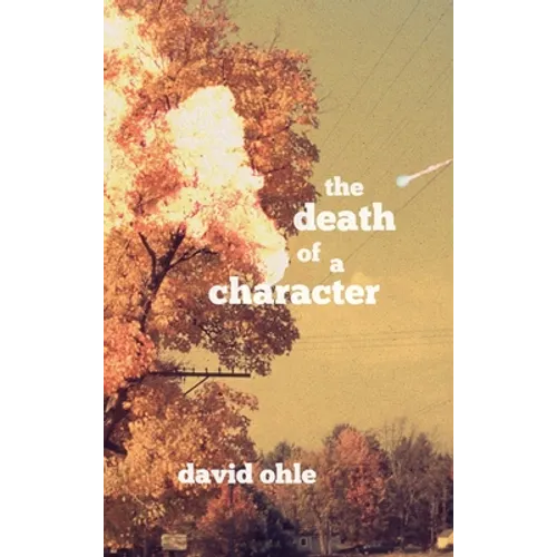 The Death of a Character - Hardcover
