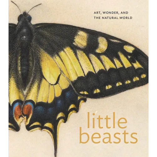Little Beasts: Art, Wonder, and the Natural World - Hardcover