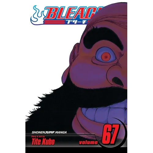 Bleach, Vol. 67: Black - Paperback