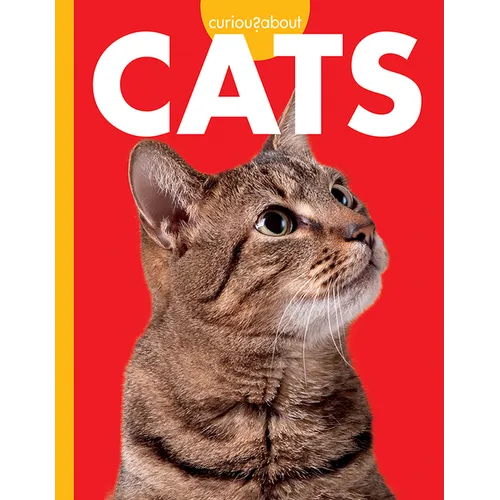 Curious about Cats - Paperback