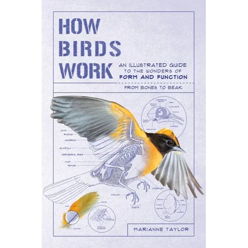 How Birds Work: An Illustrated Guide to the Wonders of Form and Function - From Bones to Beak - Paperback
